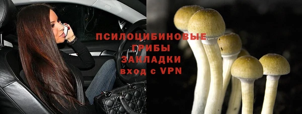 молекула духа Нязепетровск