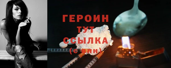 прущие грибы Новодвинск