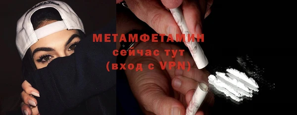 прущие грибы Новодвинск