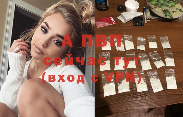 гашик Ельня