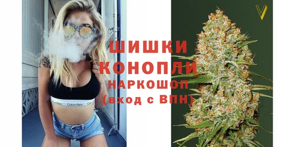 прущие грибы Новодвинск