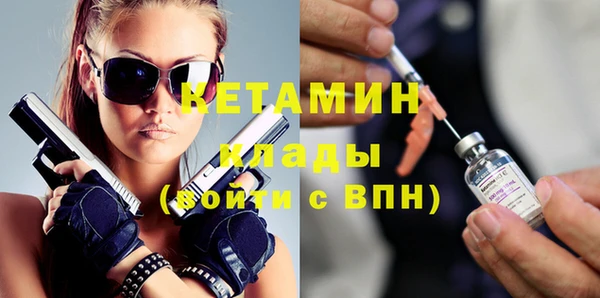 прущие грибы Новодвинск