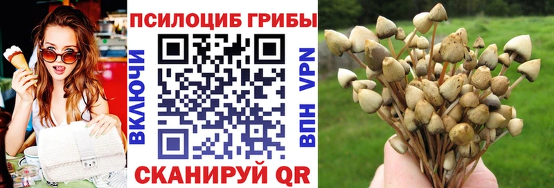 Галлюциногенные грибы Psilocybine cubensis купить Алапаевск