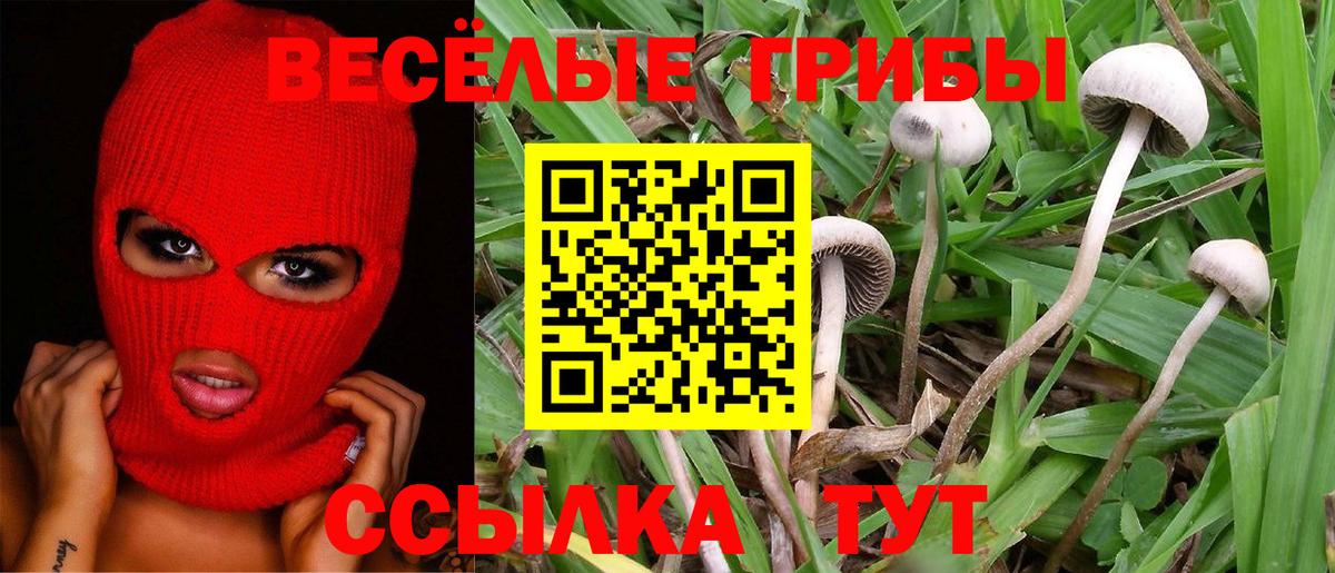 Галлюциногенные грибы Psilocybine cubensis Алапаевск