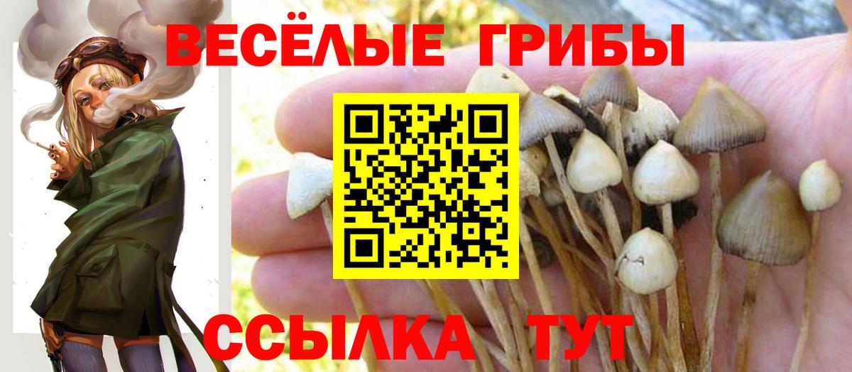 Алапаевск  Галлюциногенные грибы Psilocybine cubensis  Вход с VPN 